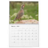2026 Bird Calendar カレンダー (2月 2027)