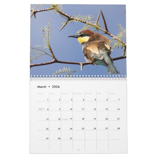 2026 Bird Calendar カレンダー (3月 2026)