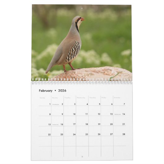 2026 Bird Calendar カレンダー (2月 2026)