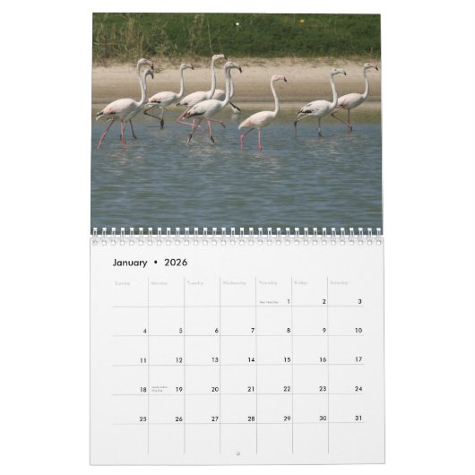 2026 Bird Calendar カレンダー (1月 2026)