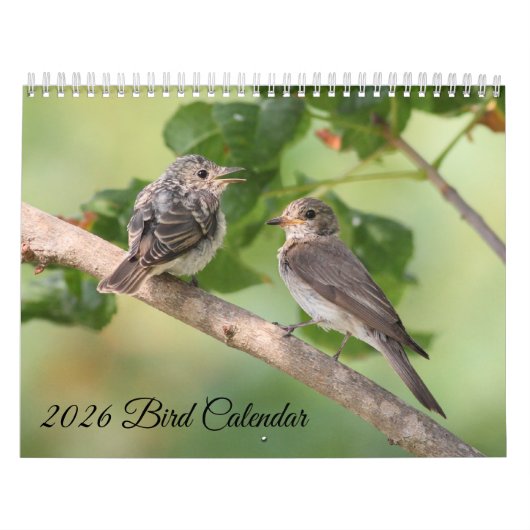 2026 Bird Calendar カレンダー (カバー)