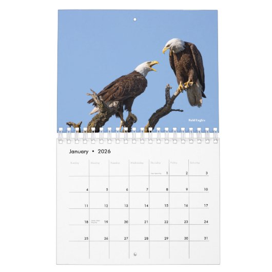 2026 Bird Calendar カレンダー (1月 2026)