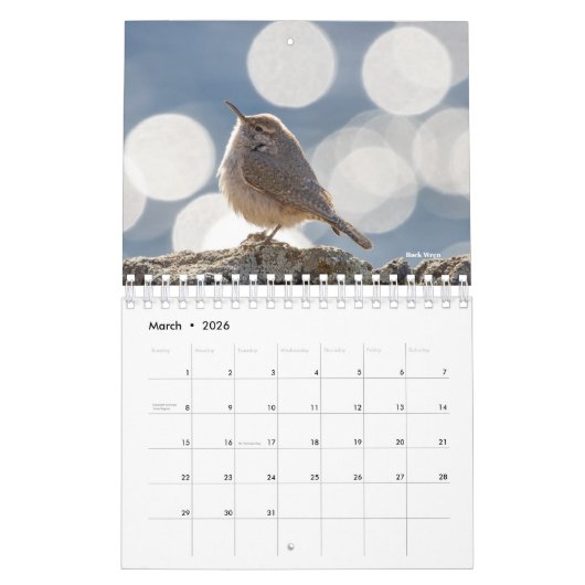 2026 Bird Calendar カレンダー (3月 2026)