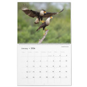 2026 - Birds of the Lower Rio Grande Valley Calend カレンダー (1月 2026)