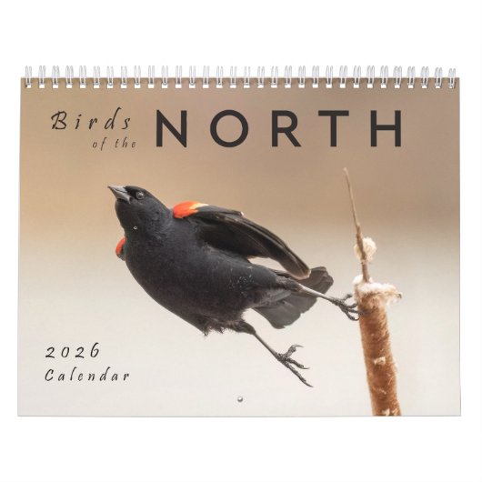 2026 Birds of the North: Great Lakes Calendar カレンダー (カバー)