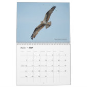 2026 Birds of the North: Great Lakes Calendar カレンダー (3月 2027)