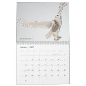 2026 Birds of the North: Great Lakes Calendar カレンダー (1月 2027)