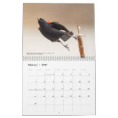 2026 Birds of the North: Great Lakes Calendar カレンダー (2月 2027)