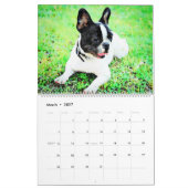2026 Boston Terrier Dog Owners Lovers Bostons Gift カレンダー (3月 2027)