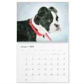 2026 Boston Terrier Dog Owners Lovers Bostons Gift カレンダー (1月 2027)