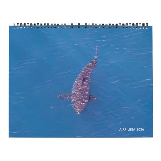 2026 Calendar Airpilikia  カレンダー (カバー)