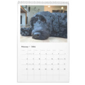 2026 Calendar Portuguese Water Dog カレンダー (2月 2026)