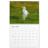 2026 CALENDAR:THE ART OF BATHING by A.GRATE EGRET  カレンダー (3月 2027)