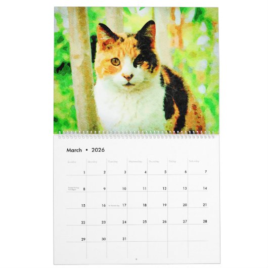 2026 Calico Tortoiseshell Cat Owners Lovers Gift カレンダー (3月 2026)
