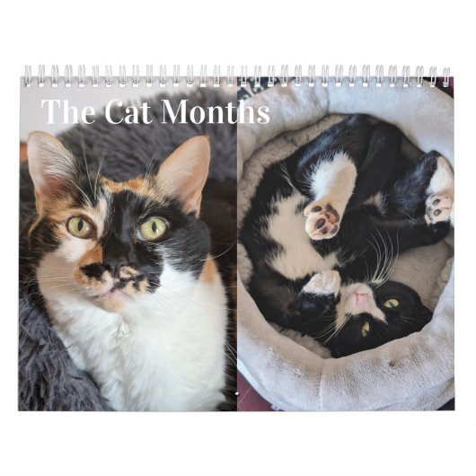 2026 Cat Calendar カレンダー (カバー)