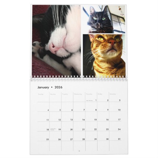 2026 Cat Calendar カレンダー (1月 2026)