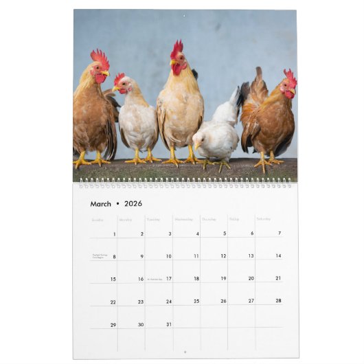 2026 Chickens Wall Calendar Cute カレンダー (3月 2026)