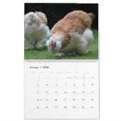2026 Chickens Wall Calendar Cute カレンダー (1月 2026)