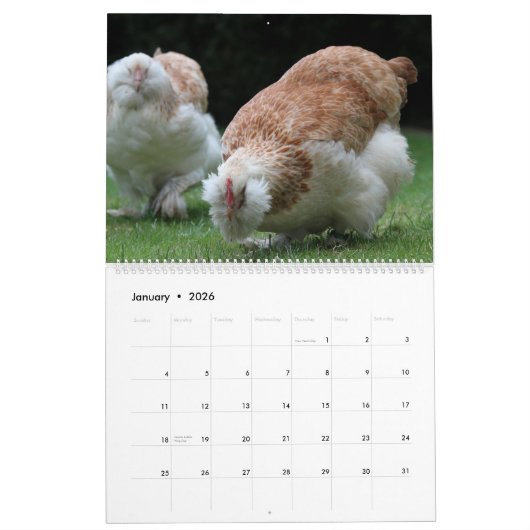 2026 Chickens Wall Calendar Cute カレンダー (1月 2026)