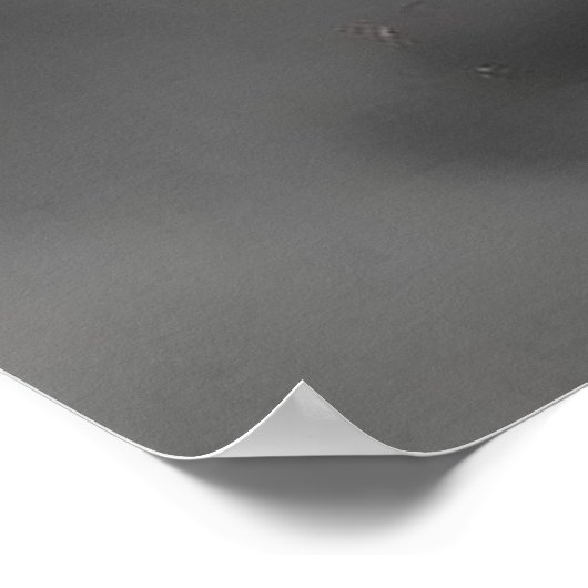 2026 Chines Year Of The Horse ポスター (角)