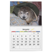 2026 Clara's Corner Groundhog Calendar A カレンダー (1月 2027)