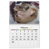 2026 Clara's Corner Groundhog Calendar A カレンダー (2月 2027)