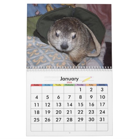 2026 Clara's Corner Groundhog Calendar A カレンダー (1月 2026)