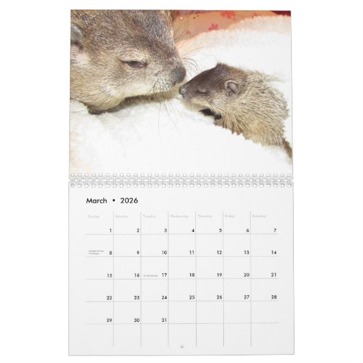 2026 Clara's Corner Groundhog Calendar B カレンダー (3月 2026)