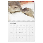 2026 Clara's Corner Groundhog Calendar B カレンダー (3月 2027)