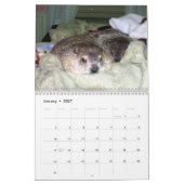 2026 Clara's Corner Groundhog Calendar B カレンダー (1月 2027)