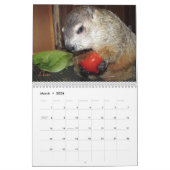 2026 Clara's Corner Groundhog Calendar F カレンダー (3月 2026)