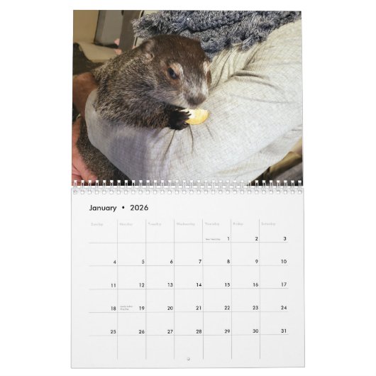 2026 Clara's Corner Groundhog Calendar G カレンダー (1月 2026)