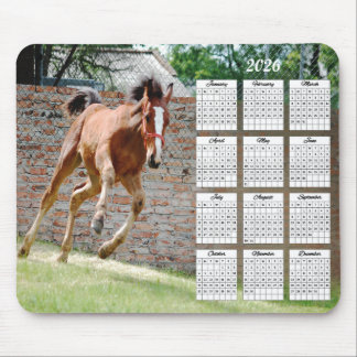 2026 Colt Running Calendar マウスパッド