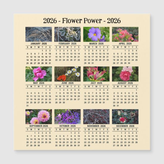 2026 Custom Flower magnetic apricot Calendar SU (正面)