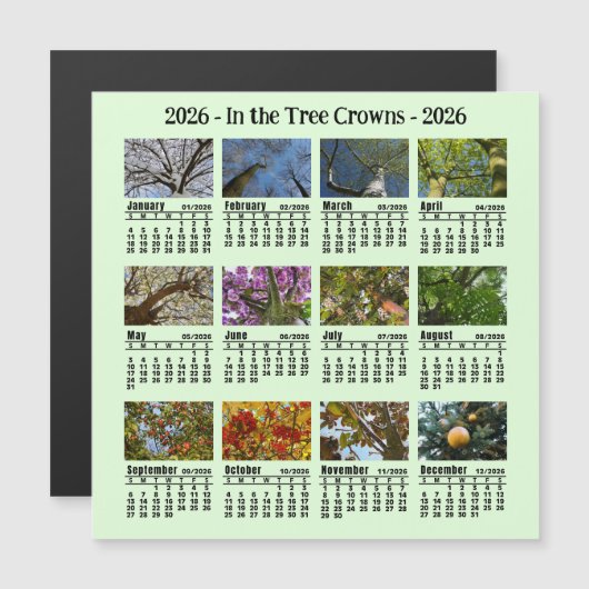 2026 Custom Photo Tree Calendar Sunday start (正面/裏面)