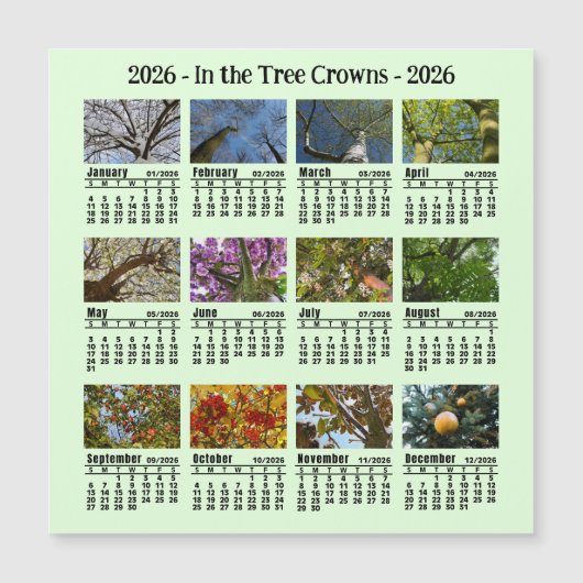 2026 Custom Photo Tree Calendar Sunday start (正面)