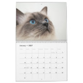 2026 Cute Cat Breeds Photo – for Cat Lovers カレンダー (1月 2027)