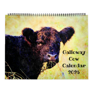 2026 Cute Galloway Cow Cattle Watercolour Painting カレンダー