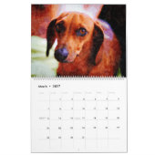 2026 Daschund Wiener Dog  カレンダー (3月 2027)