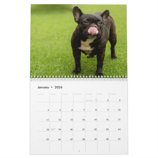 2026 Dog Breeds | Popular Dog Lovers  カレンダー (1月 2026)