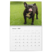 2026 Dog Breeds | Popular Dog Lovers  カレンダー (1月 2027)