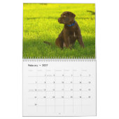 2026 Dog Breeds | Popular Dog Lovers  カレンダー (2月 2027)