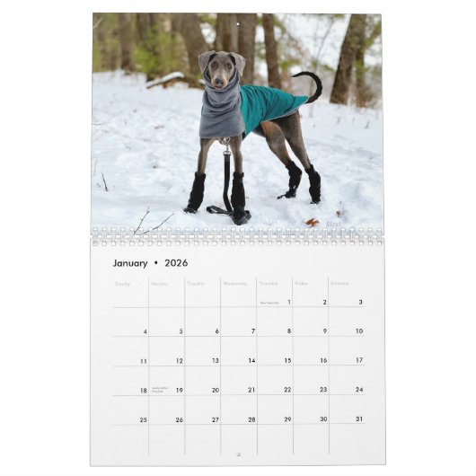 2026 DT Calendar カレンダー (1月 2026)