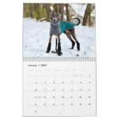 2026 DT Calendar カレンダー (1月 2027)