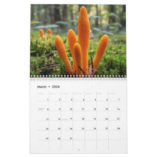 2026 Enchanted Mushroom Photo カレンダー (3月 2026)