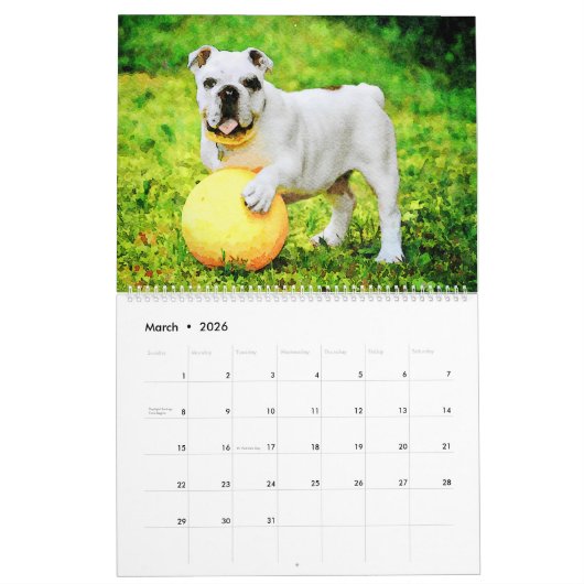 2026 English Bulldog British American Bully Gift カレンダー (3月 2026)