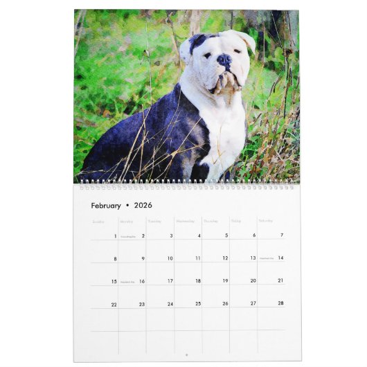 2026 English Bulldog British American Bully Gift カレンダー (2月 2026)
