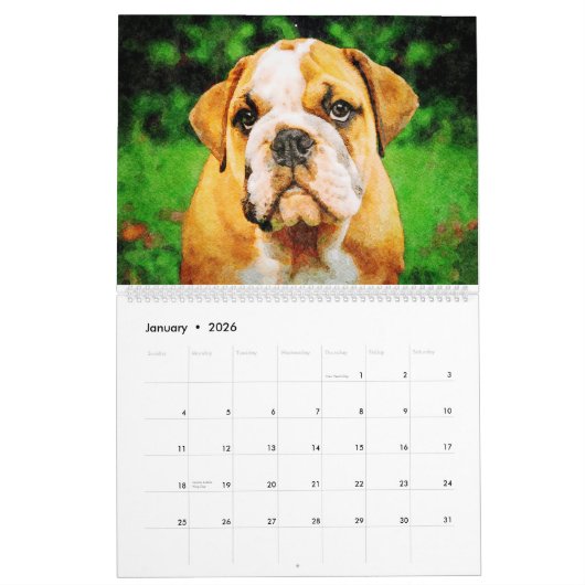2026 English Bulldog British American Bully Gift カレンダー (1月 2026)
