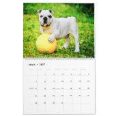 2026 English Bulldog British American Bully Gift カレンダー (3月 2027)