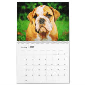 2026 English Bulldog British American Bully Gift カレンダー (1月 2027)
